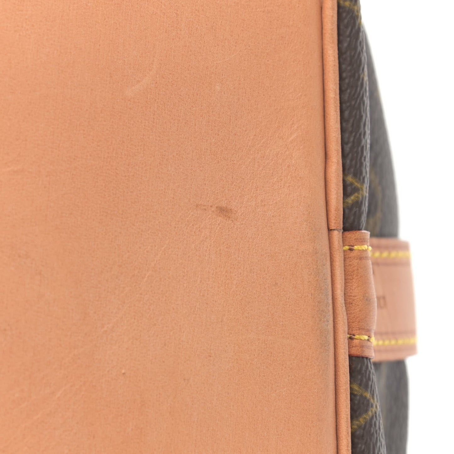 Monogram Petit Noe