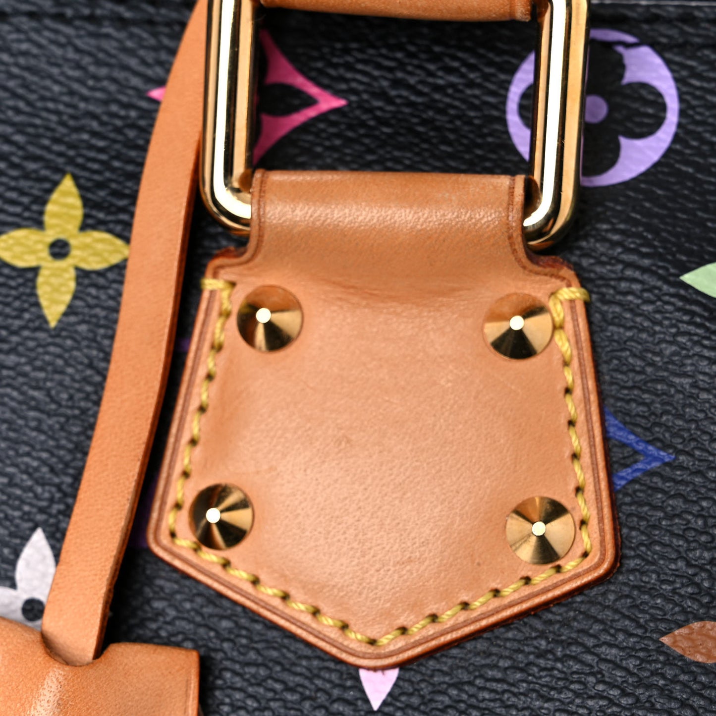 Monogram Multicolor Speedy 30 Black