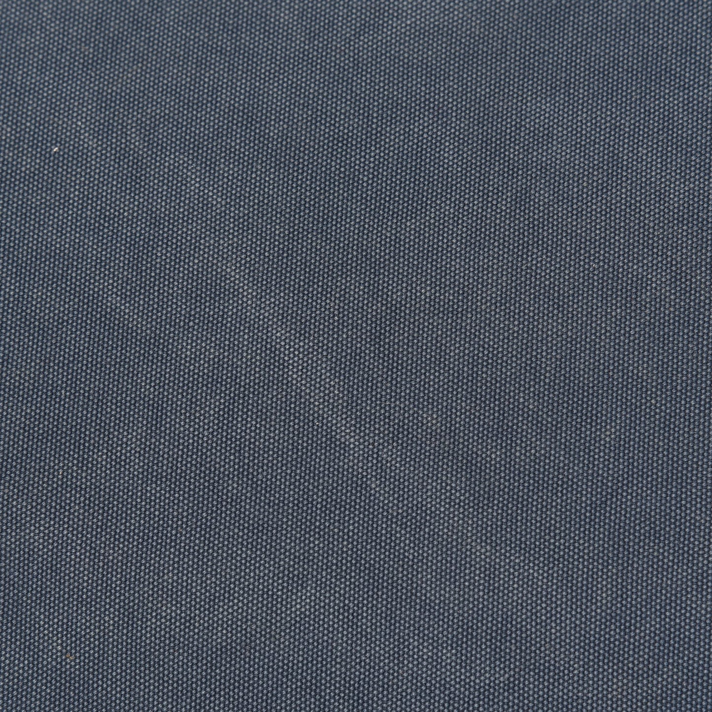 Canvas Canapa Logo Tote Blue