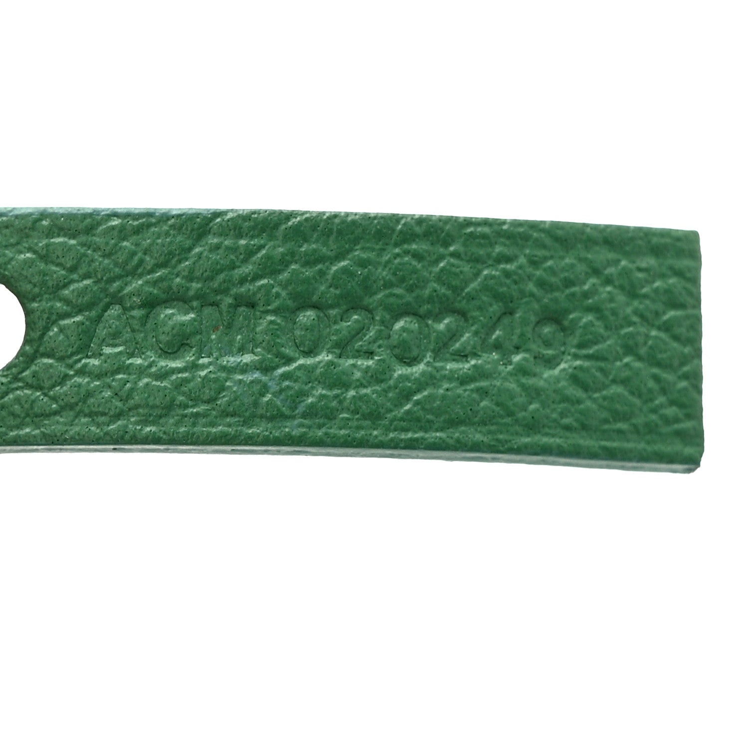Goyard Goyardine Saint Louis PM Green 8 of 12