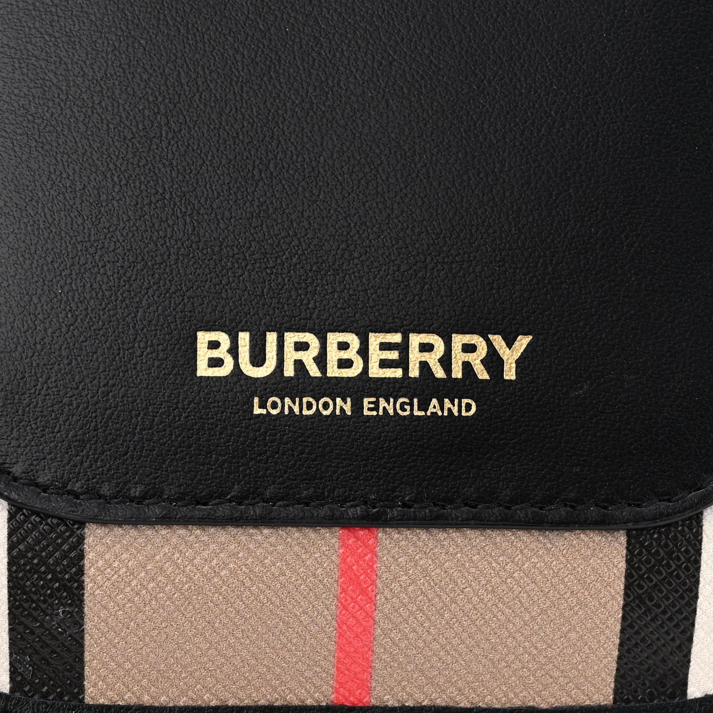 E-Canvas Calfskin Icon Stripe Anne Phone Case With Strap Archive Beige