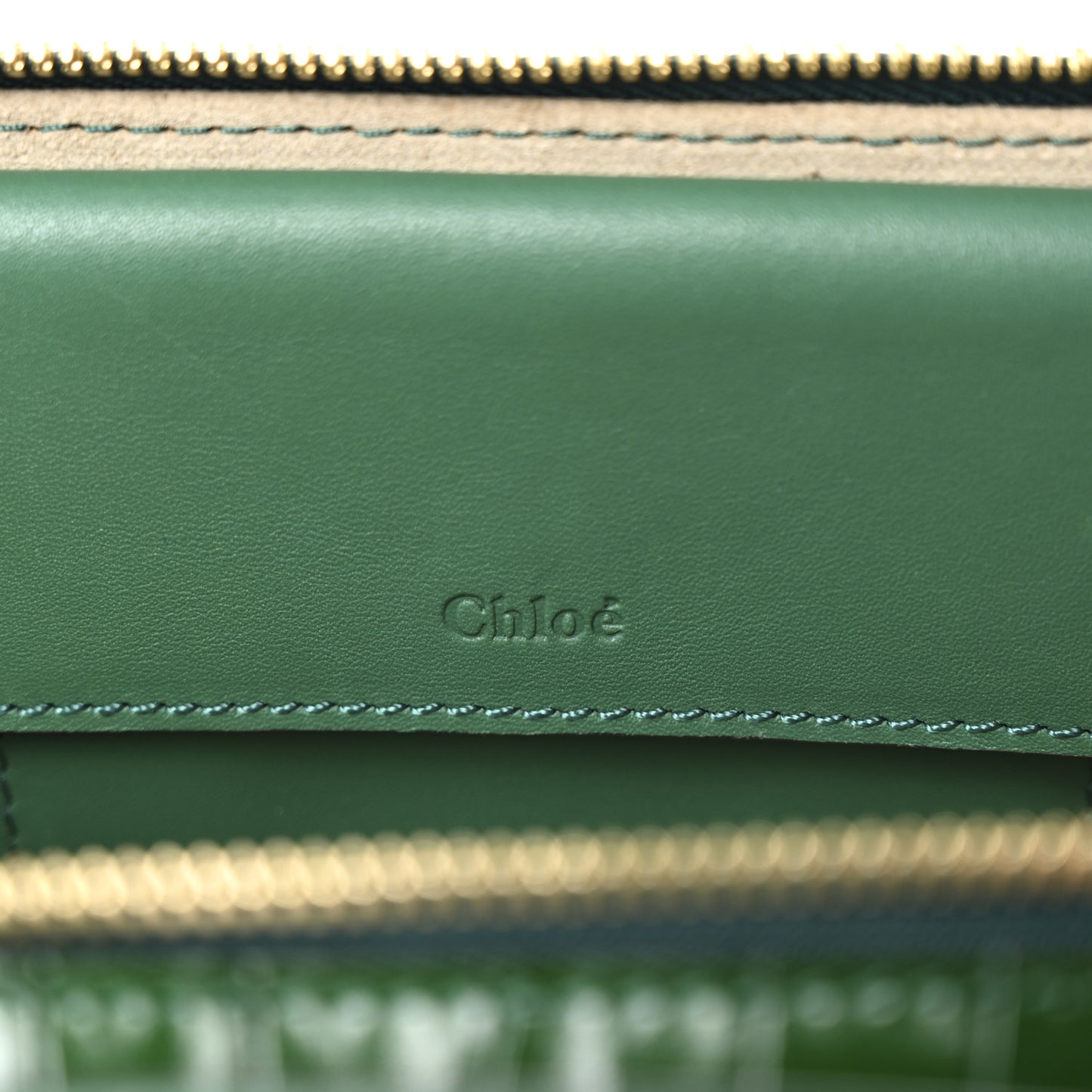 Calfskin Crocodile Embossed Mini C Vanity Bag Woodsy Green