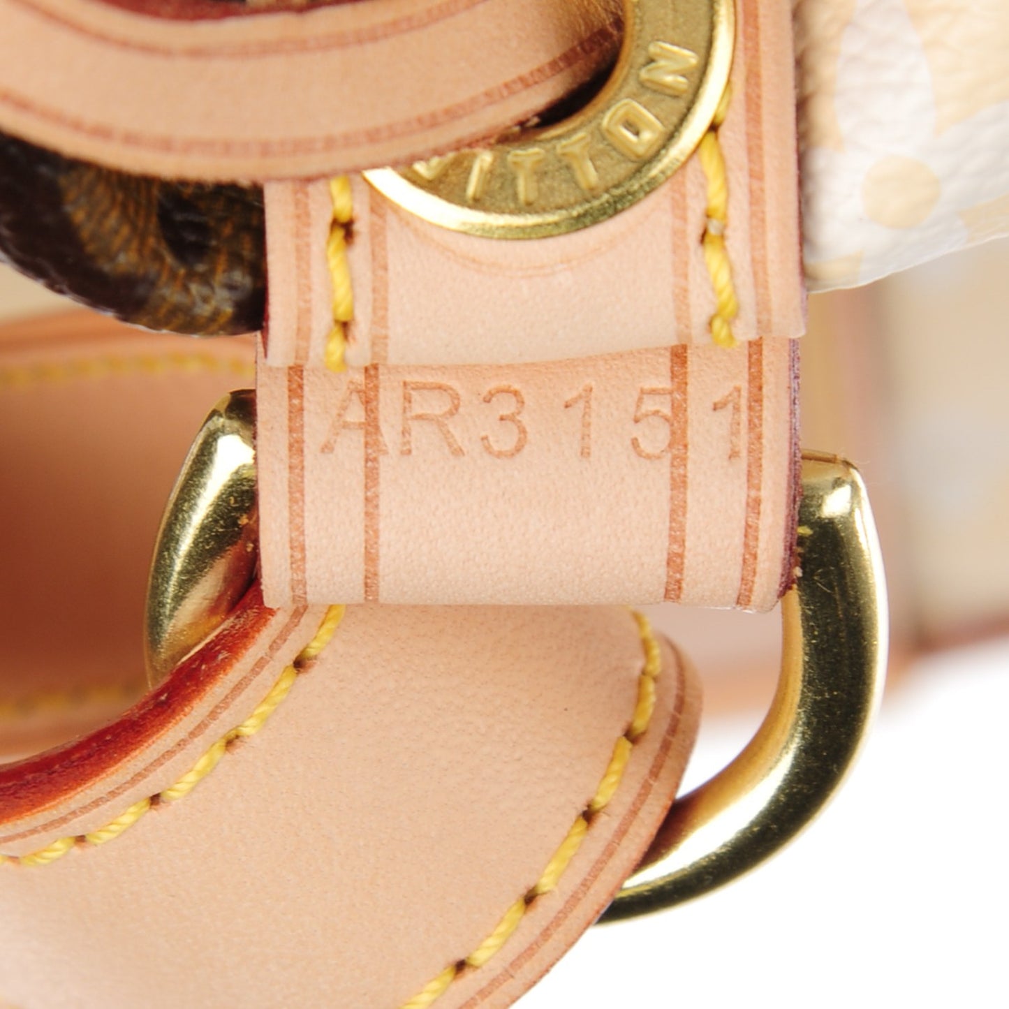 Monogram Rayures Noe