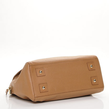 Mulberry Glossy Goatskin Medium Del Rey Satchel Fudge 4 of 8