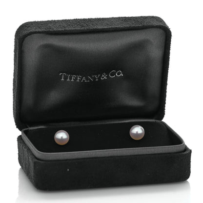 Tiffany 18K White Gold Akoya Pearl 7-7.5mm Signature Earrings 5 of 5