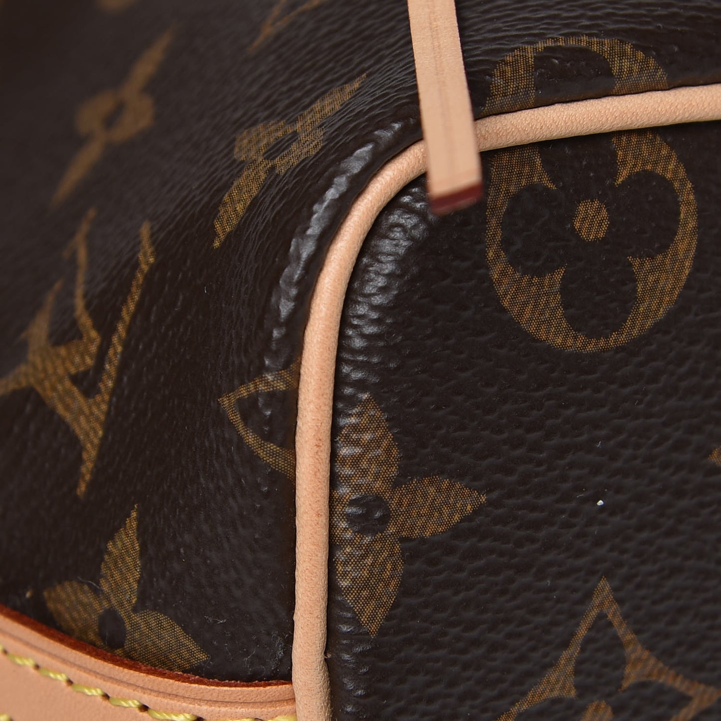 Monogram Nano Noe