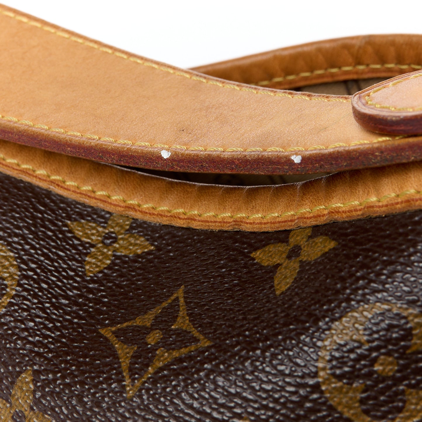 Monogram Delightful MM