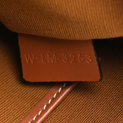 Celine Canvas Calfskin Ava Triomphe Shoulder Bag Grege 7 of 10