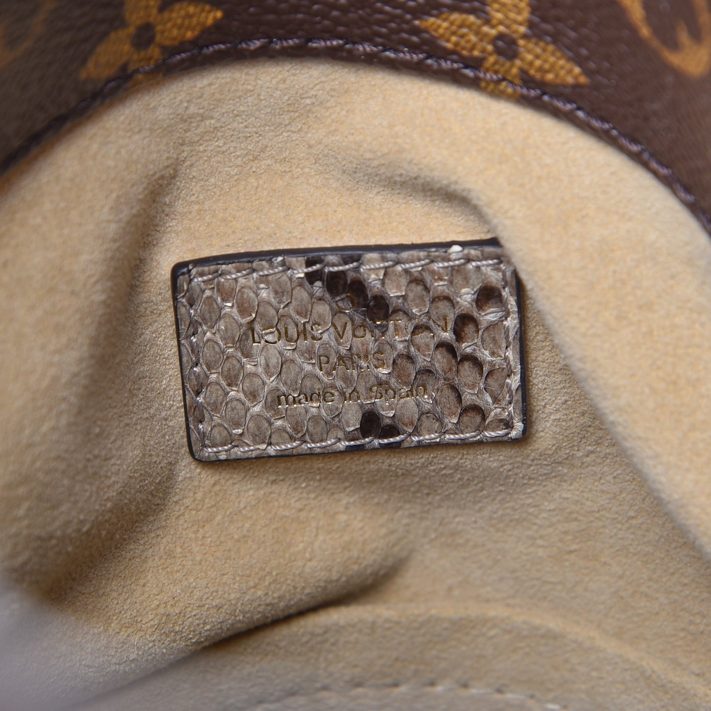 Snakeskin Monogram Artsy MM