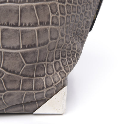 Alexander Wang Crocodile Embossed Calfskin Small Emile Taupe Silver Hardware 12 of 12