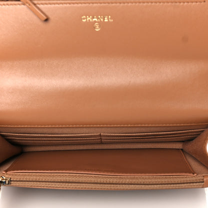 Chanel Lambskin Quilted Chanel 19 Wallet On Chain WOC Brown 5 of 11