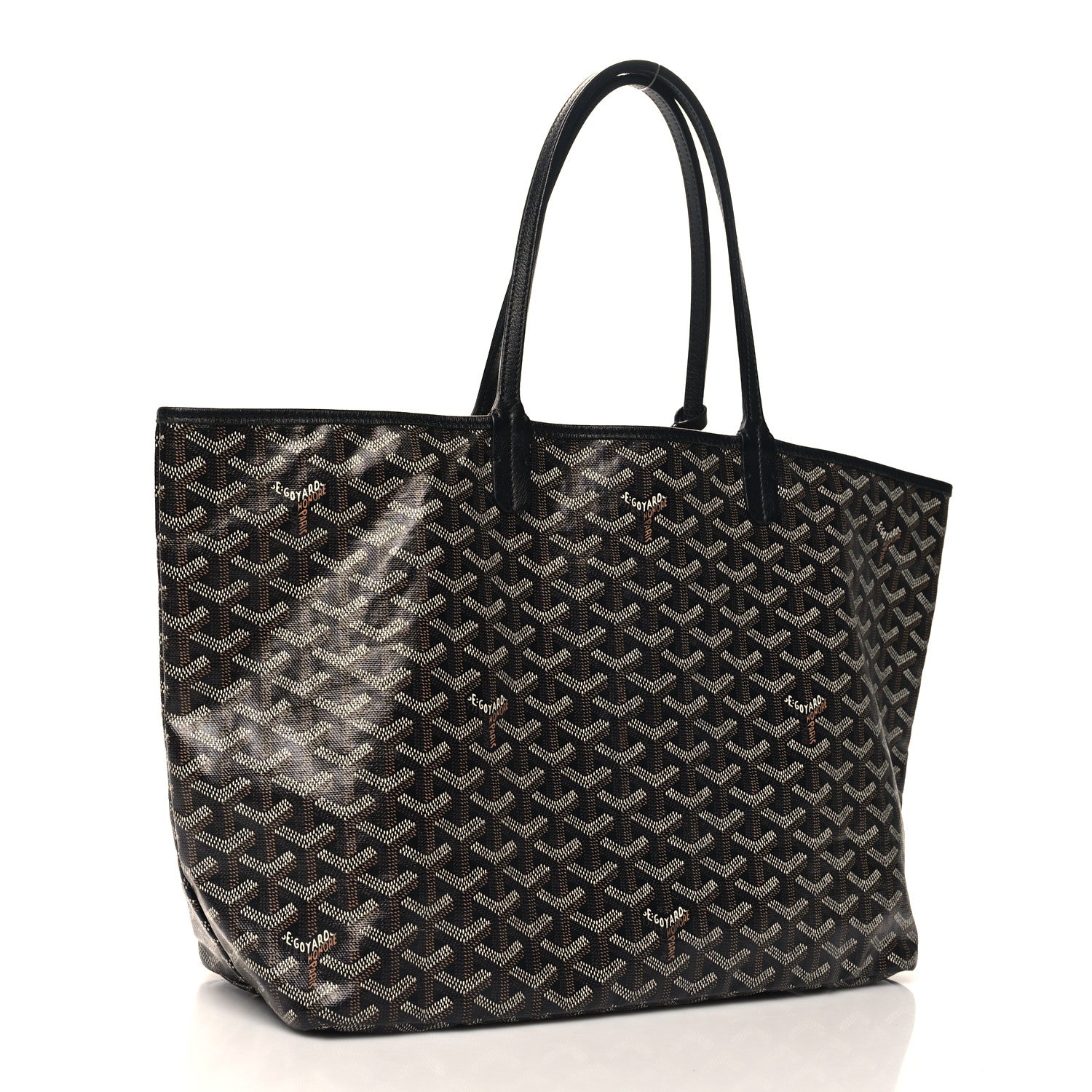 Goyard Goyardine Saint Louis PM Black 3 of 9