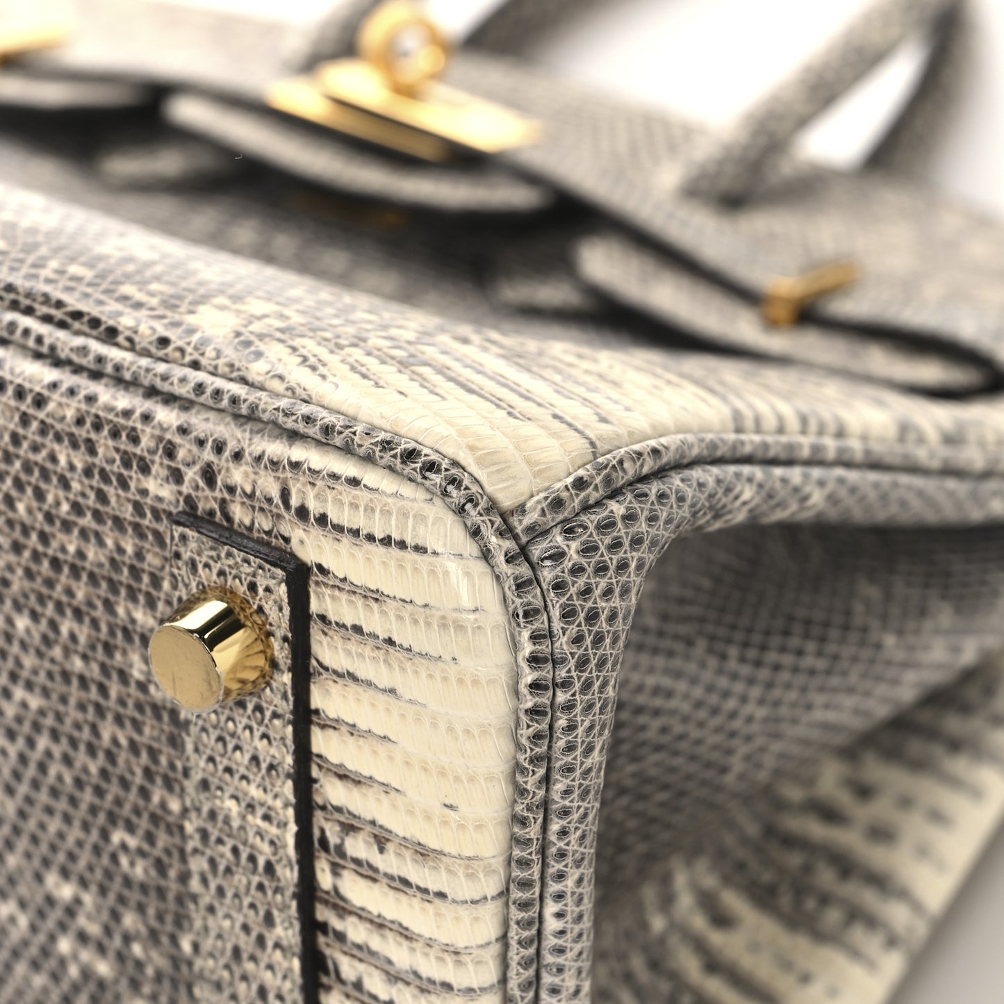 Lizard Birkin 25 Ombre