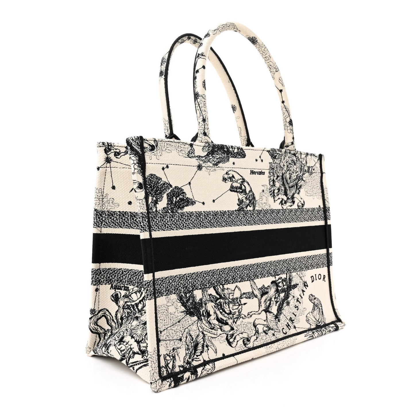 Canvas Zodiac Toile De Jouy Embroidered Medium Book Tote Latte