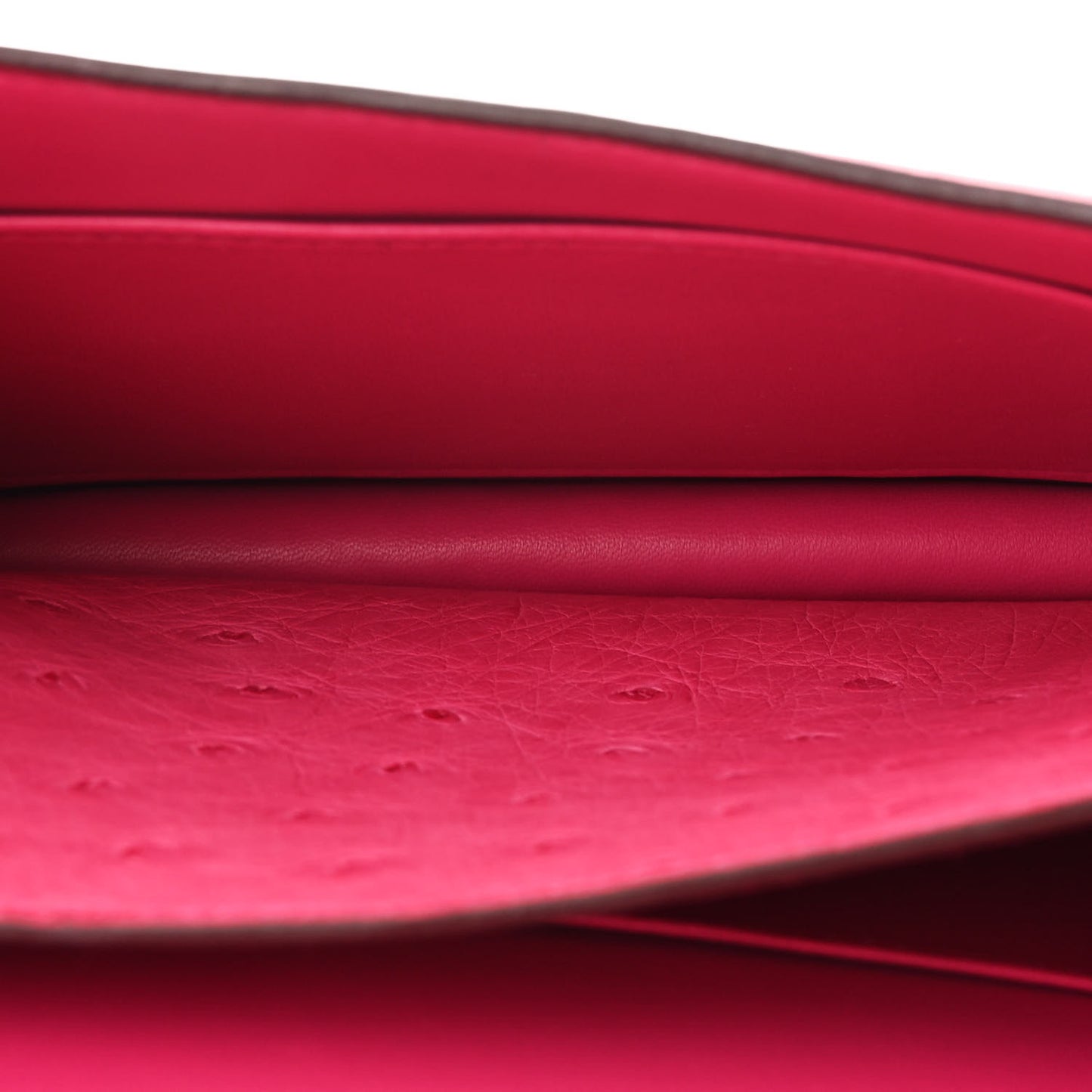 Ostrich Constance 18 Rose Shocking