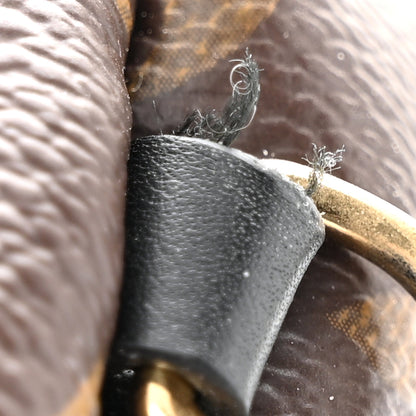 Louis Vuitton Monogram Palm Springs Backpack Mini 11 of 12