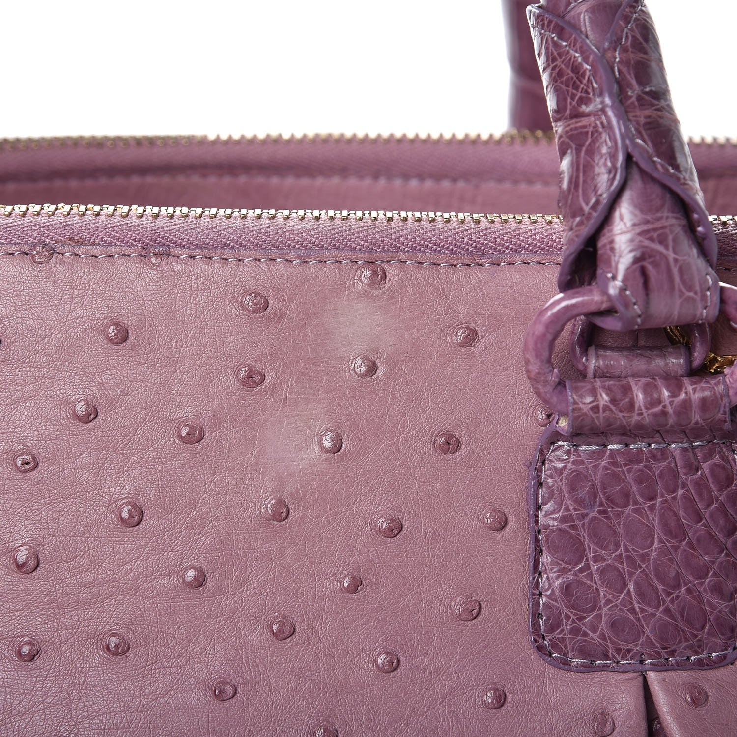 Nancy Gonzalez Ostrich Crocodile Mango Tote Purple 10 of 10