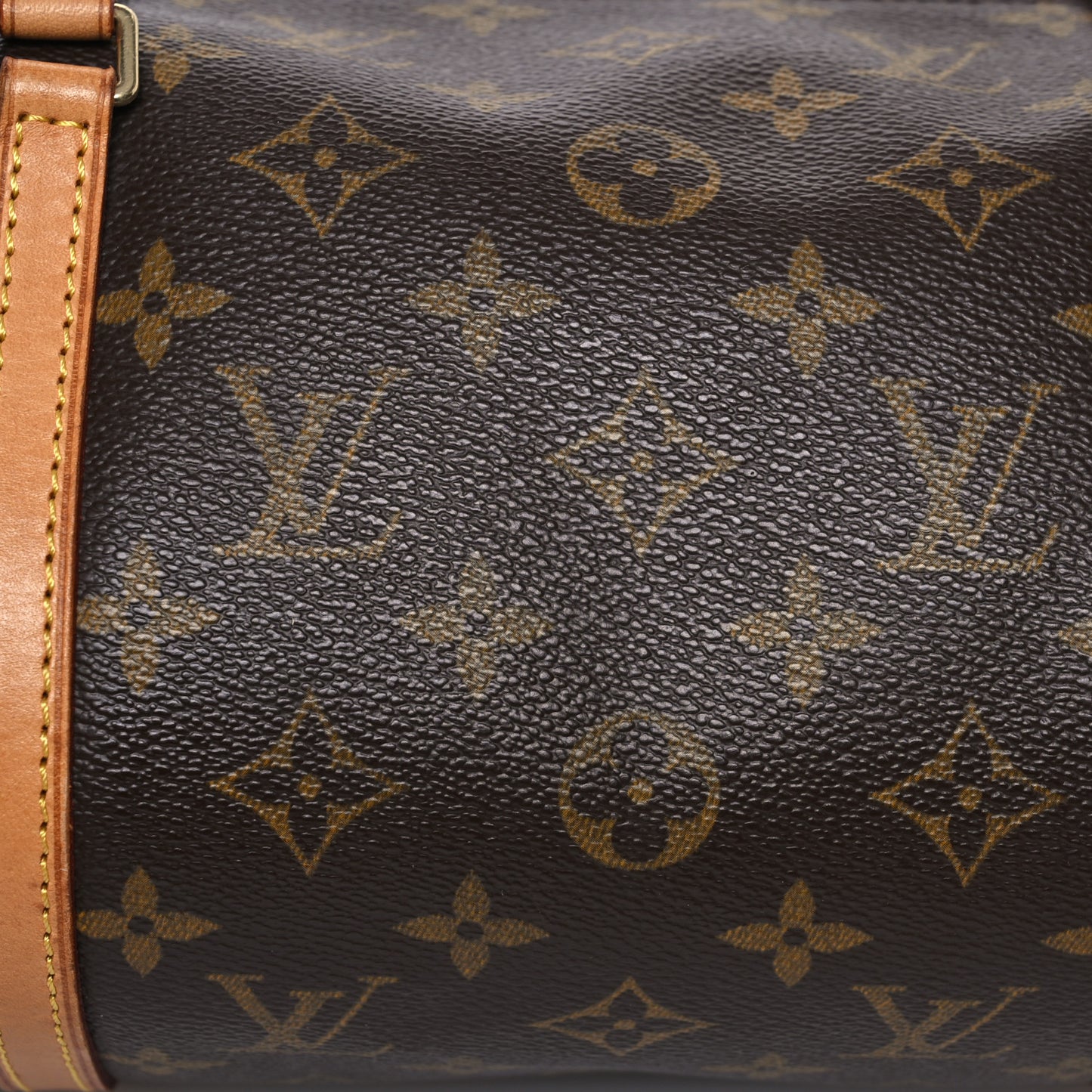 Monogram Papillon 30 with Companion