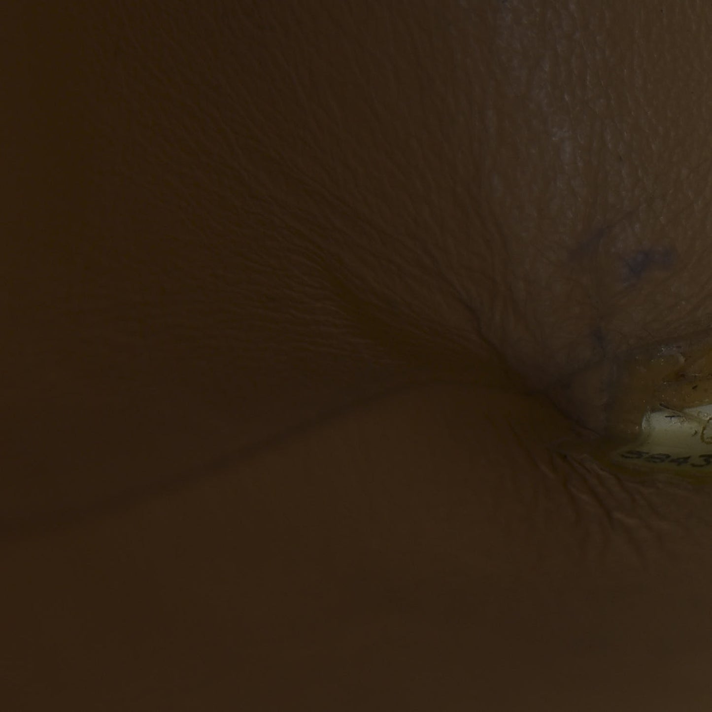 Caviar Quilted Jumbo Single Flap Beige