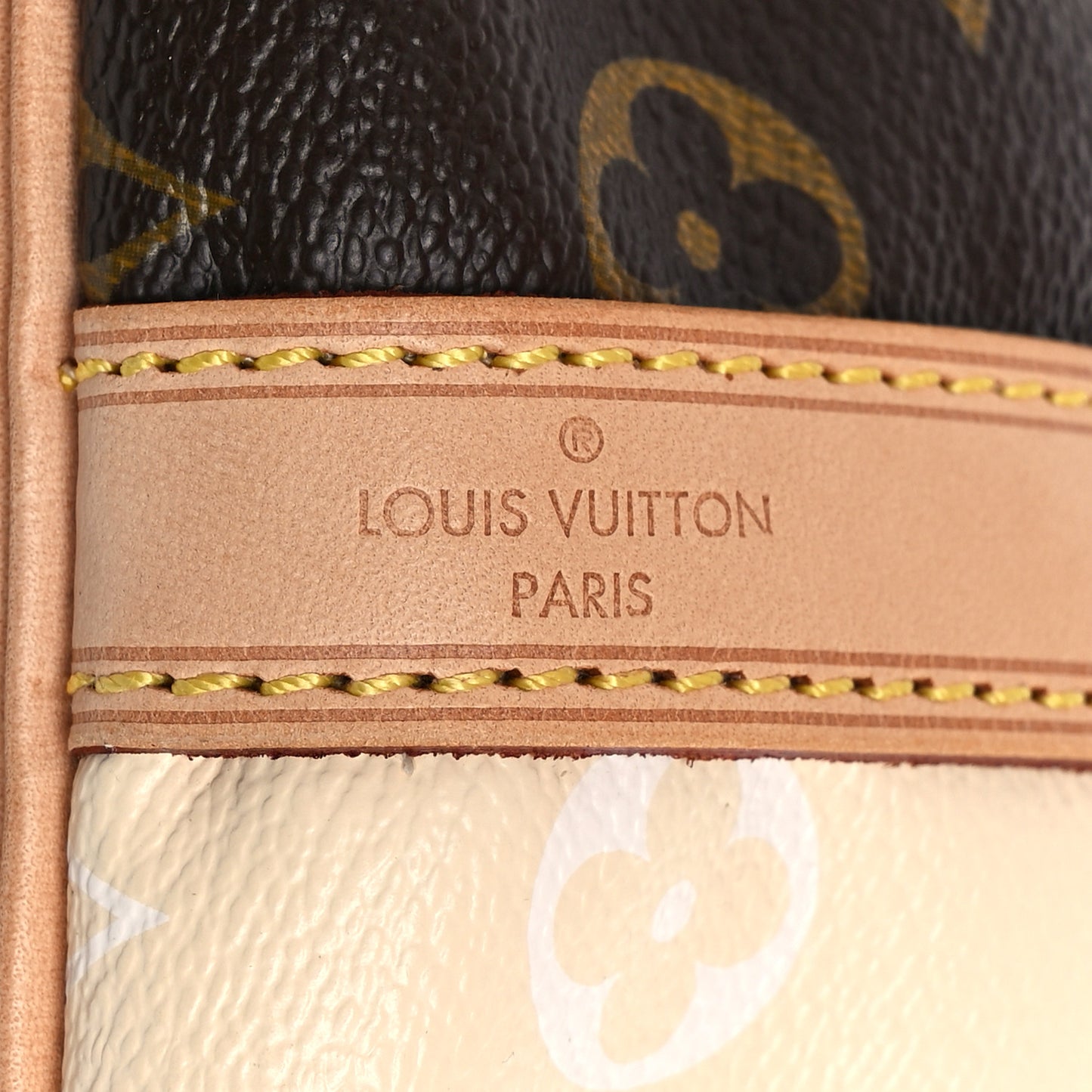 Monogram Rayures Petit Noe
