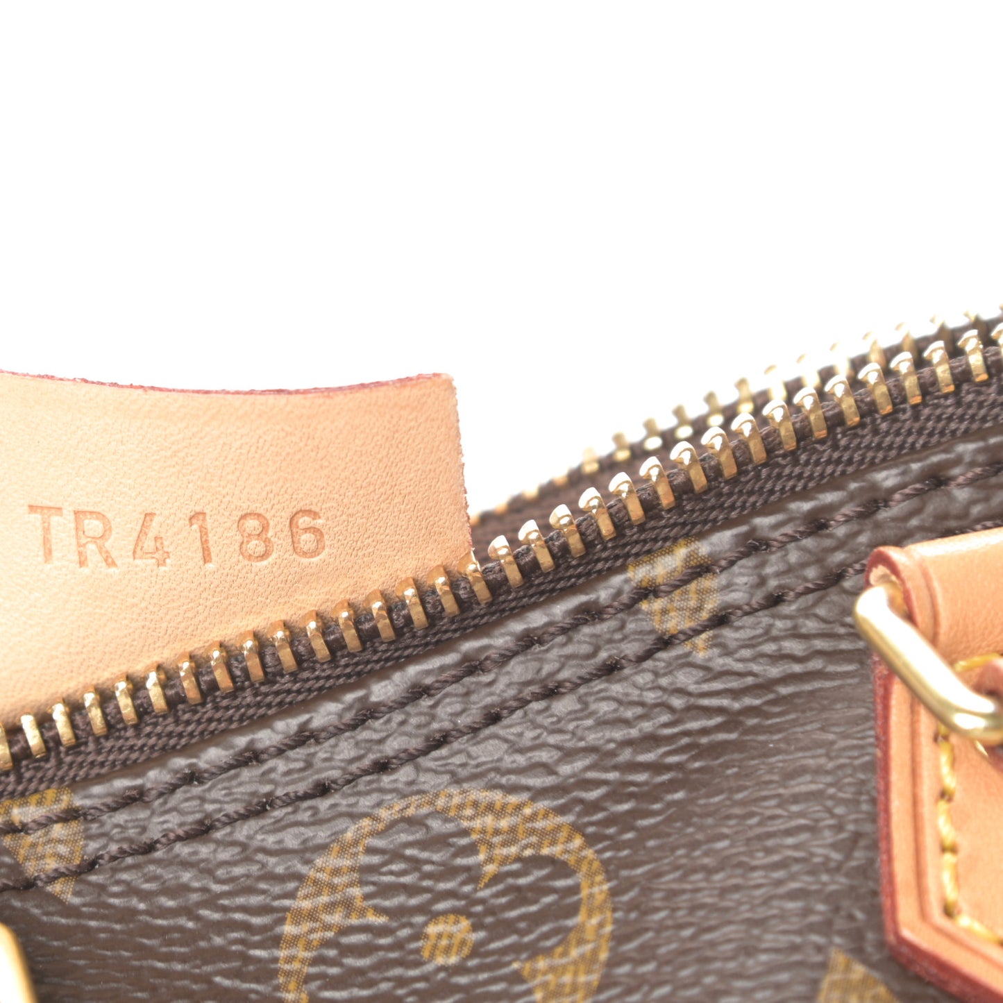 Monogram Nano Speedy