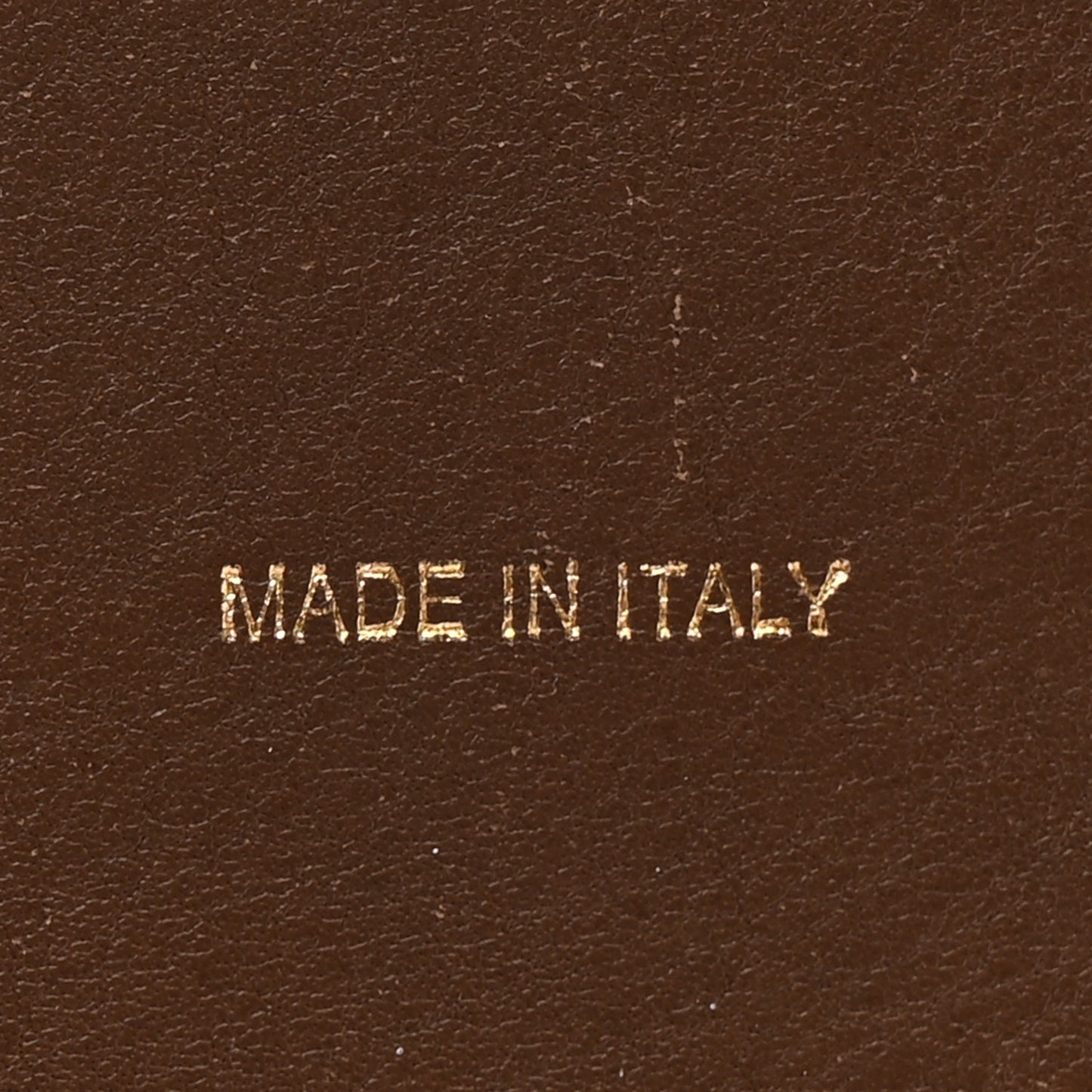 Shiny Smooth Calfskin Small Twisted Cabas Camel Brick