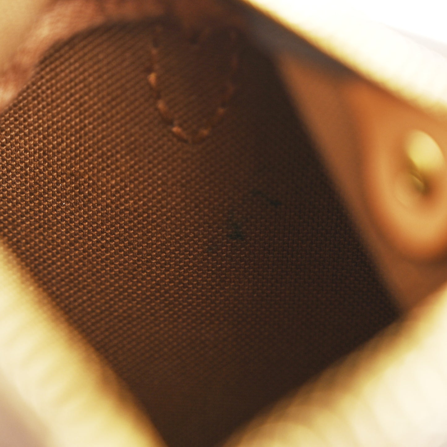 Monogram Nano Speedy