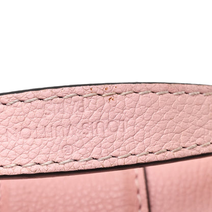 Louis Vuitton Damier Ebene Clapton Backpack Magnolia 13 of 14