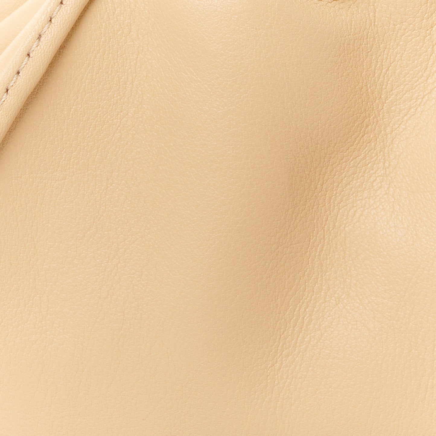 Butter Calfskin The Mini Pouch Almond