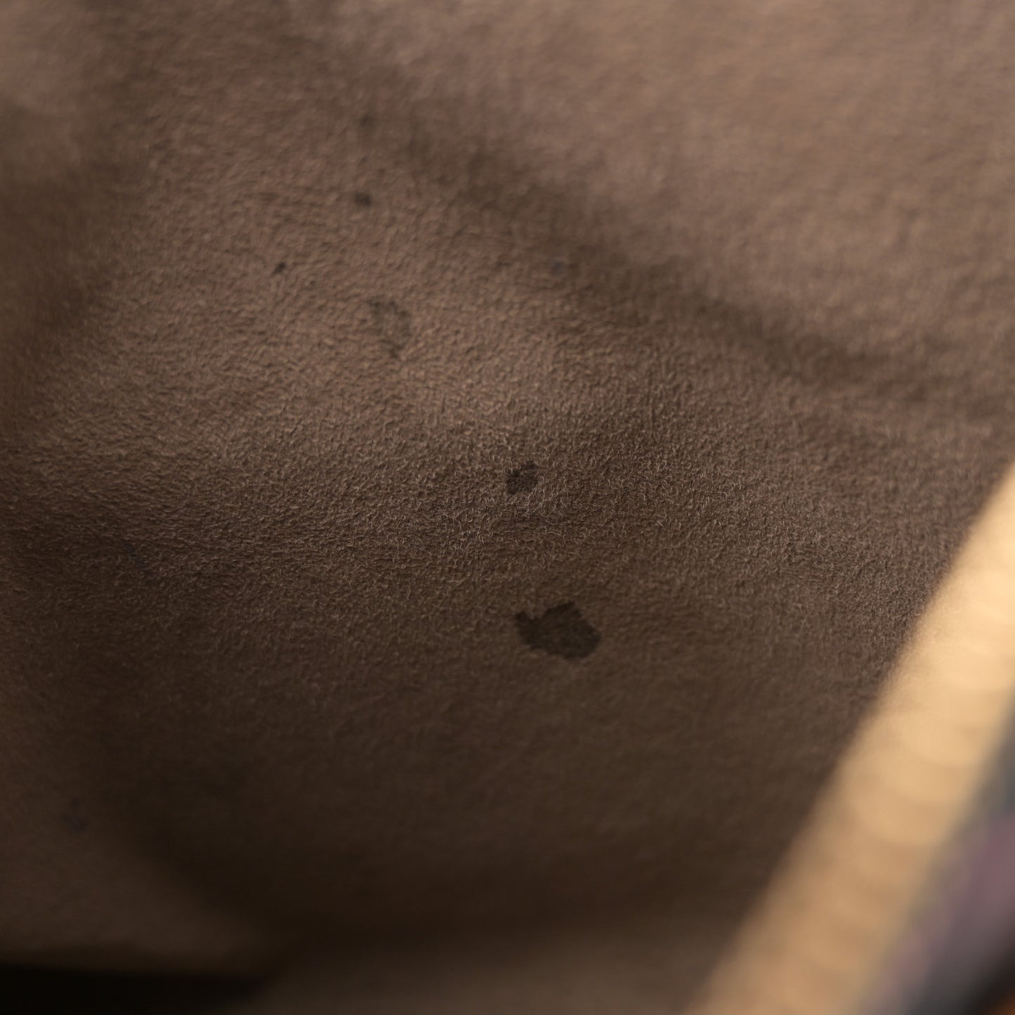 Monogram Multicolor Speedy 30 Black