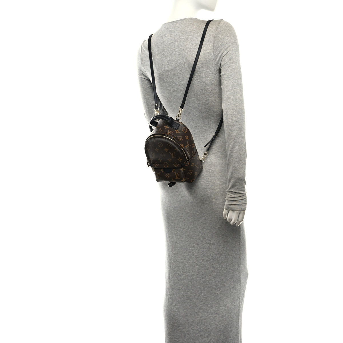 Monogram Palm Springs Backpack Mini