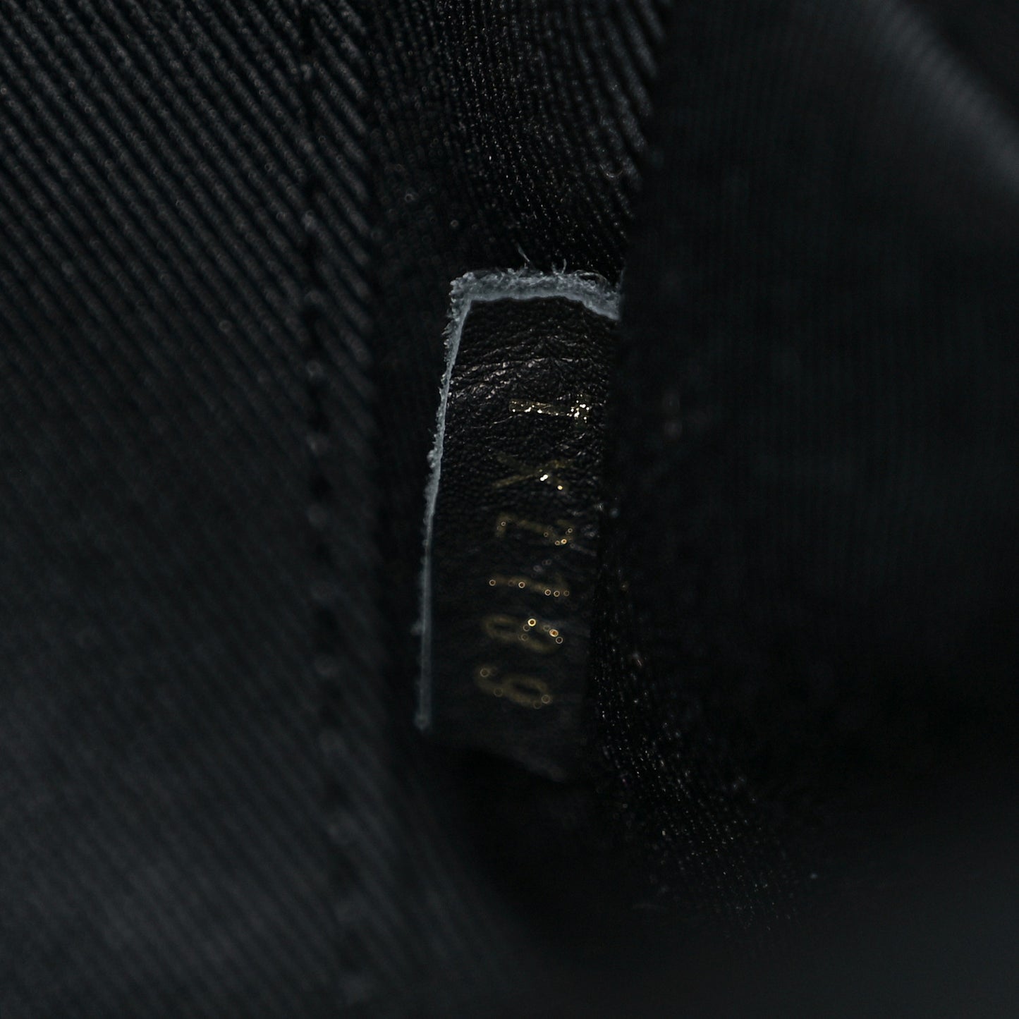 Reverse Monogram Palm Springs Backpack Mini