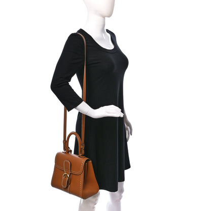 Delvaux Grained Rodeo Calfskin Surpique PM Brillant Satchel Vegetal Ivory 2 of 9