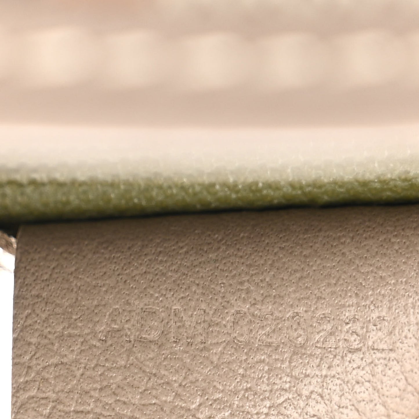 Goyardine Poitiers Tote Grege Khaki