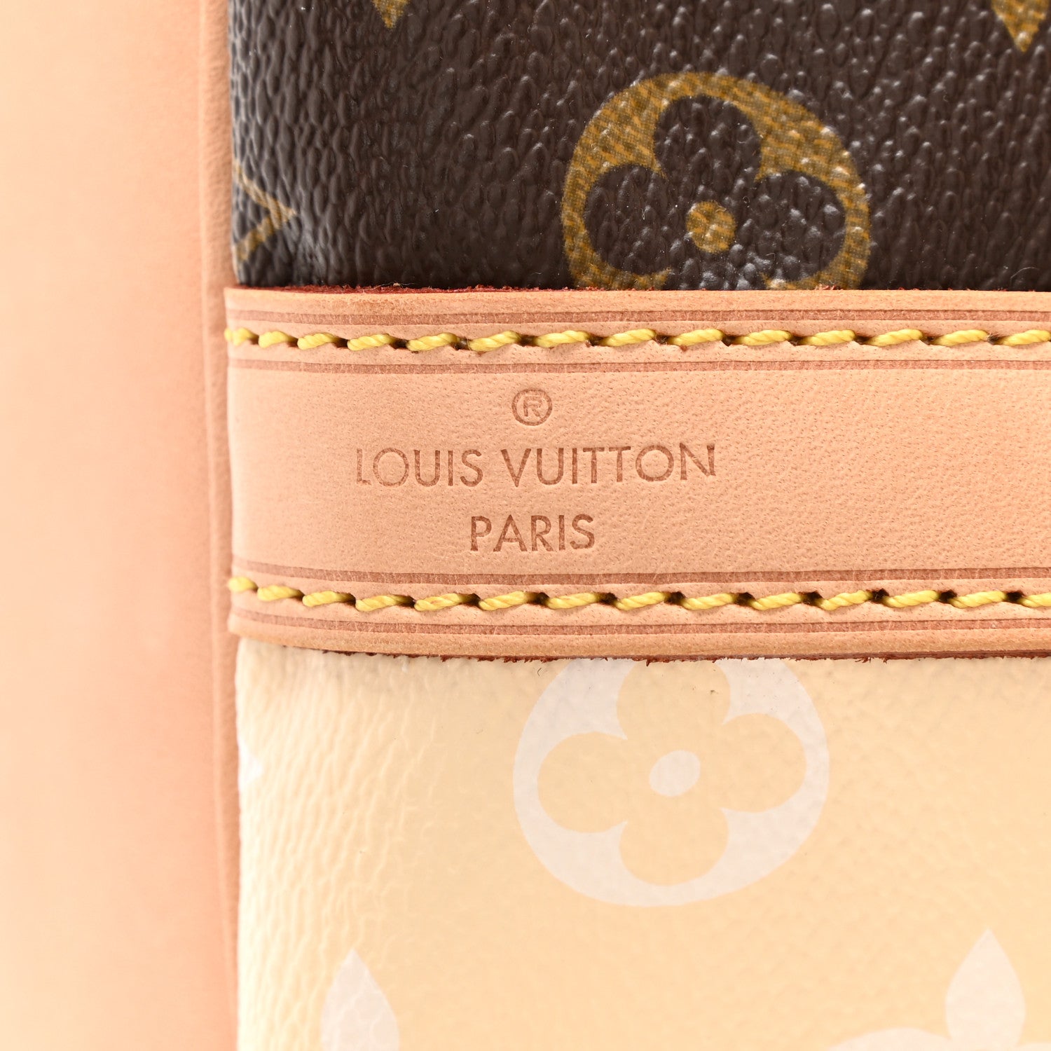 Louis Vuitton Monogram Rayures Petit Noe 6 of 8