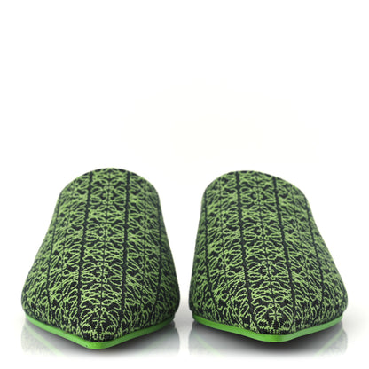 Loewe Jacquard Anagram Calfskin Pointy Mule Sandals 40 Apple Green 2 of 11
