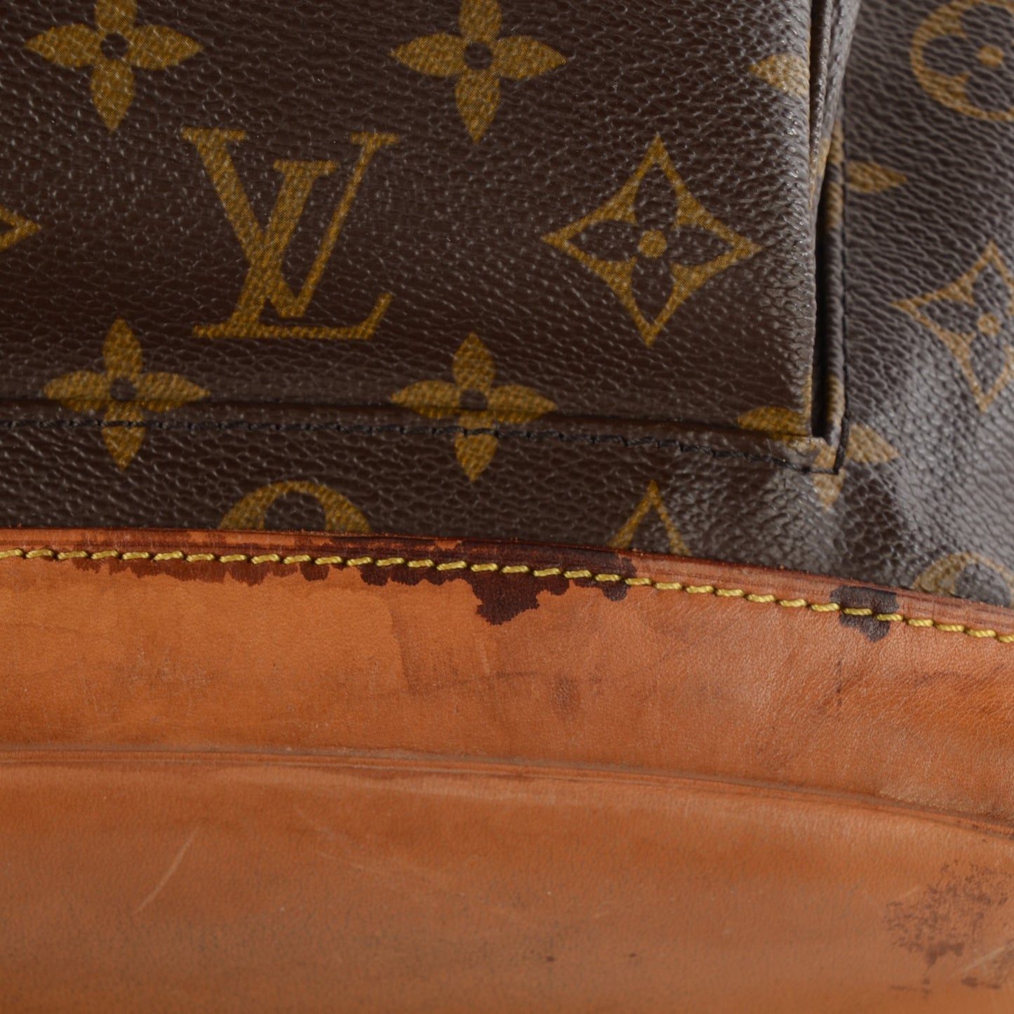 Monogram Montsouris GM Backpack