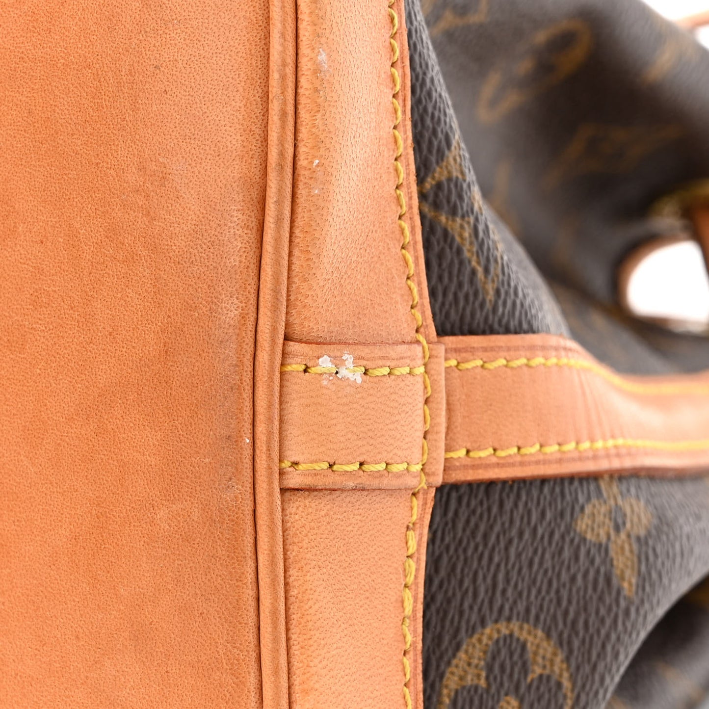 Monogram Mini Noe