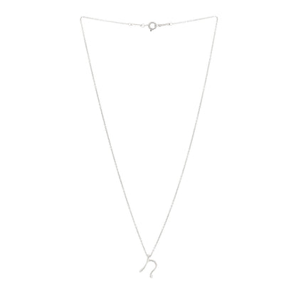 Tiffany Sterling Silver Elsa Peretti Letter N Pendant Necklace 3 of 4