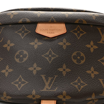 Louis Vuitton Monogram Bumbag 7 of 11