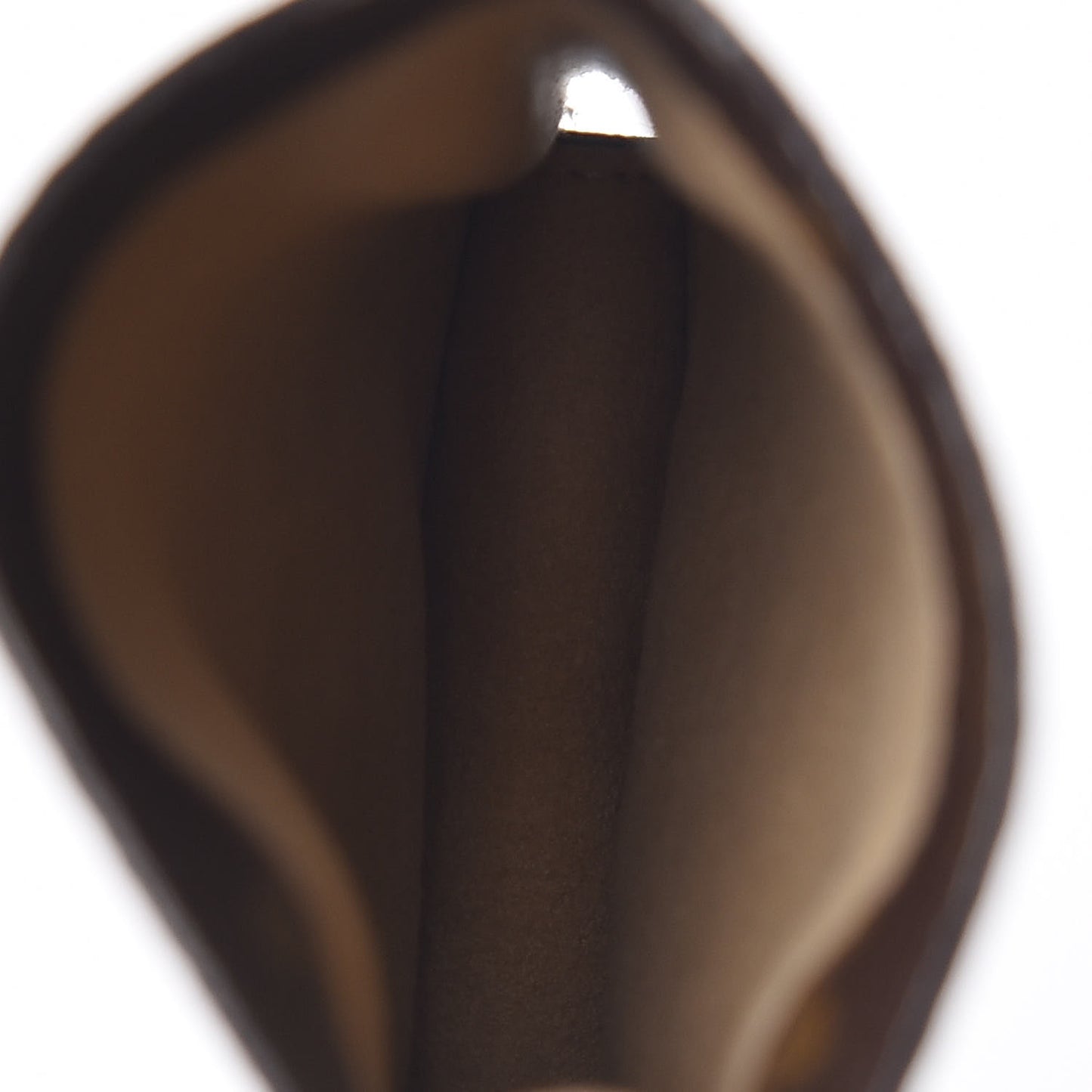 Monogram Sunglasses Case