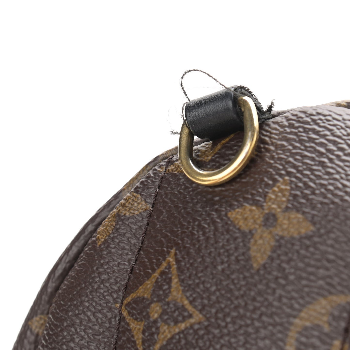 Monogram Palm Springs Backpack Mini