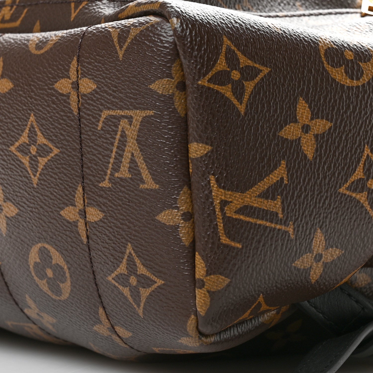 Louis Vuitton Monogram Palm Springs Backpack MM 9 of 9