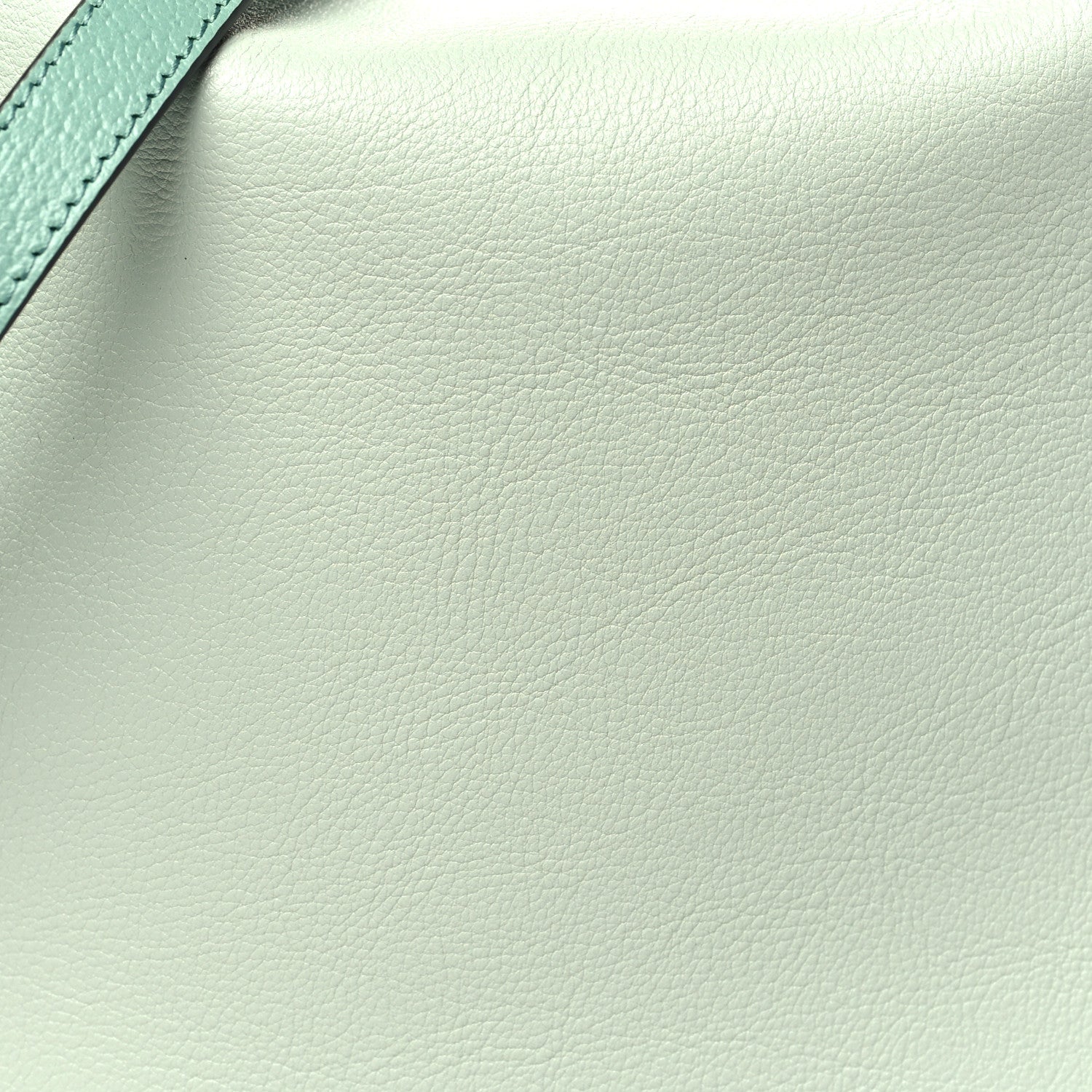 Gucci Softy Wonka Textured Dollar Calfskin Medium Diana Shoulder Bag Salvy Green 8 of 11