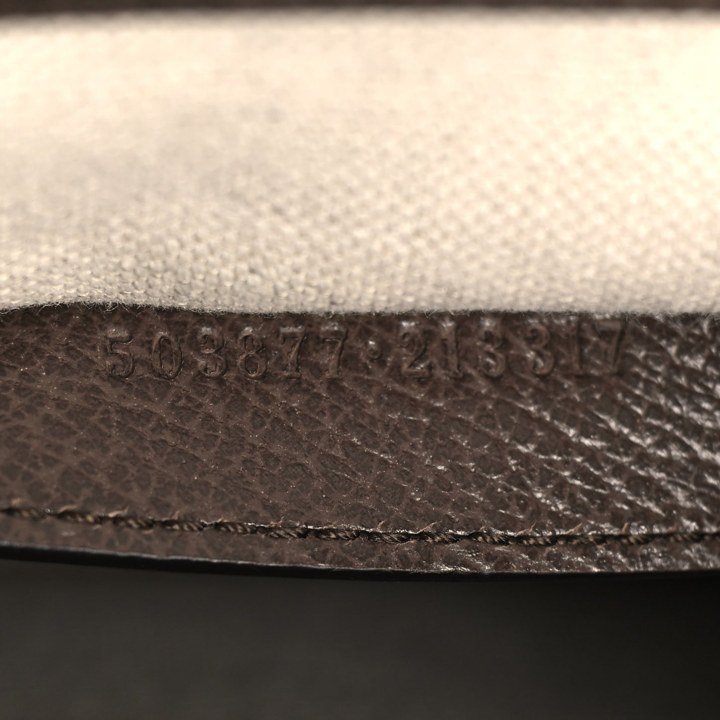 Monogram Jumbo GG Textured Dollar Calfskin Web Small Ophidia Chain Shoulder Bag Camel Ebony New Acero