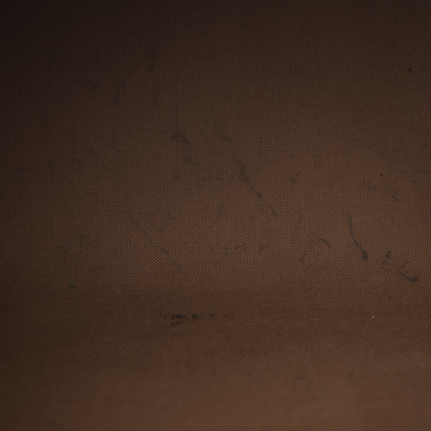 Monogram Speedy Bandouliere 35