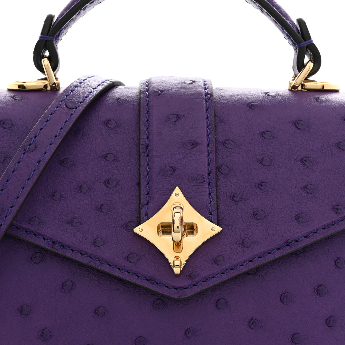 Ostrich Rose Des Vents Mini Amethyste