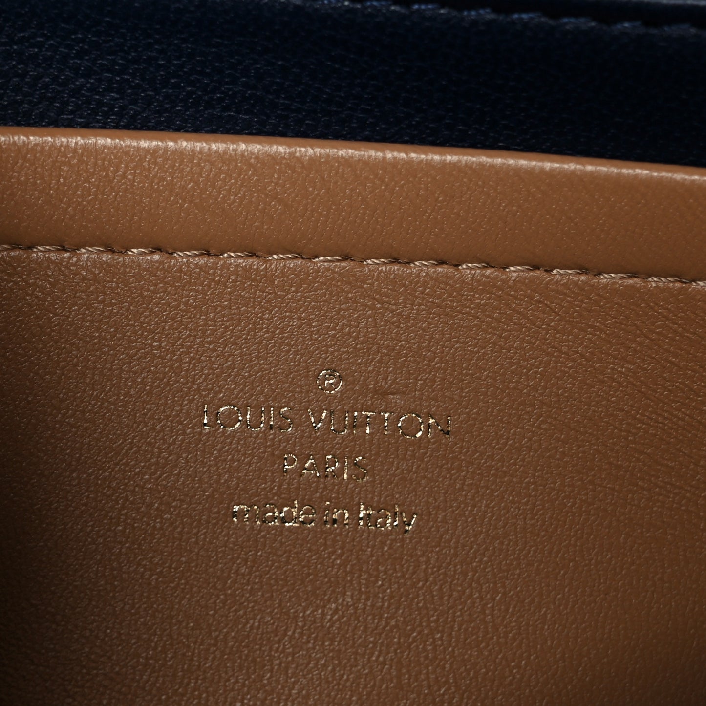 Lambskin Embossed Monogram Pochette Coussin Camel