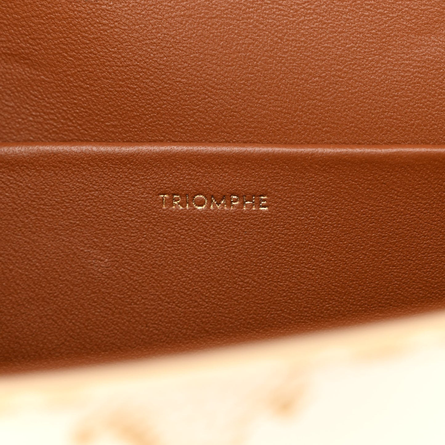 Canvas Calfskin Triomphe Shoulder Bag White