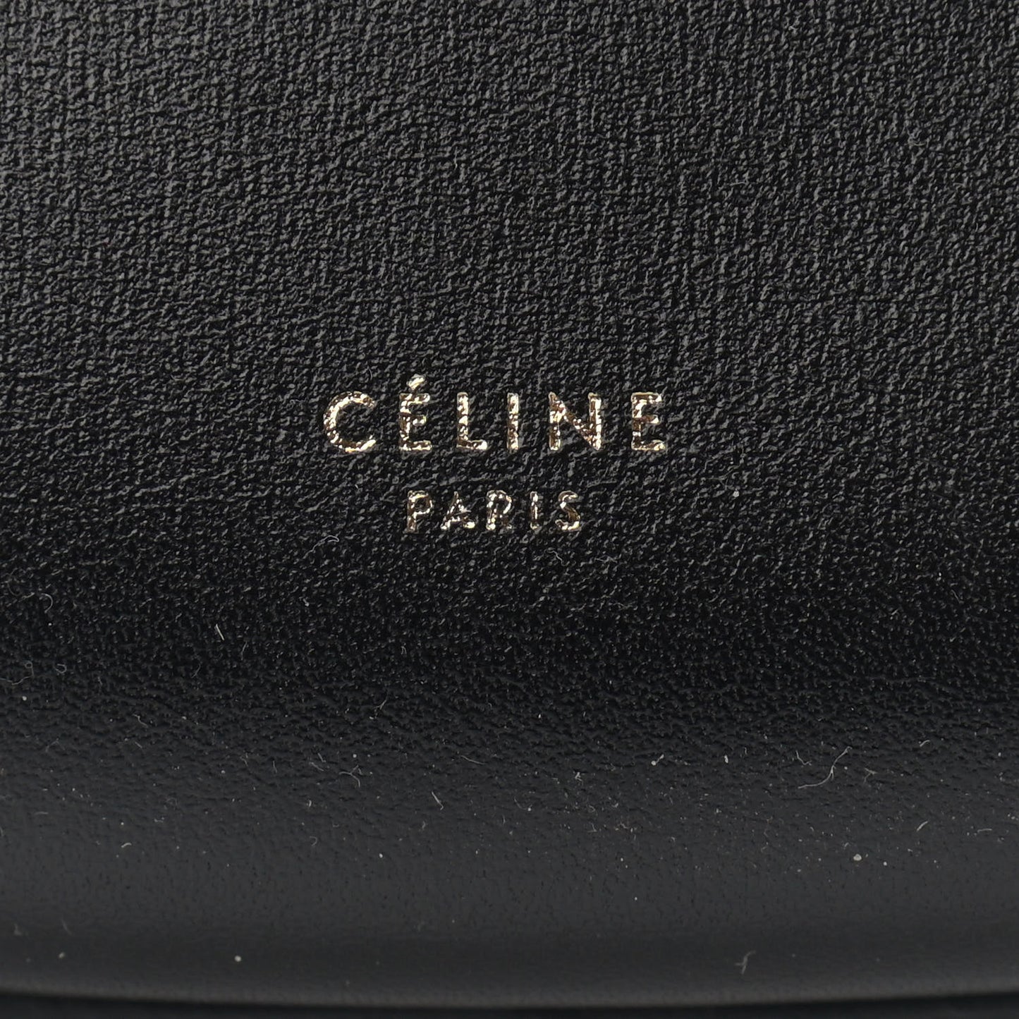 Supple Calfskin Medium Hobo Black